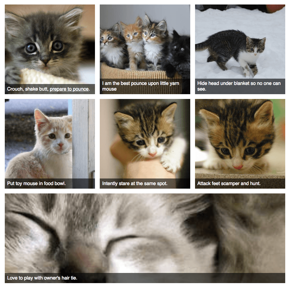 Screenshot of images arranged with flexbox, with one element stretched at the bottom of the group.