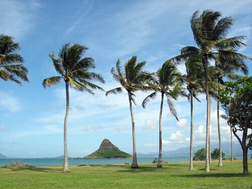 Mokolii Rock from a viewpoint near Kualoa Park