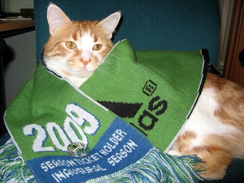 A Sounders FC Supporter