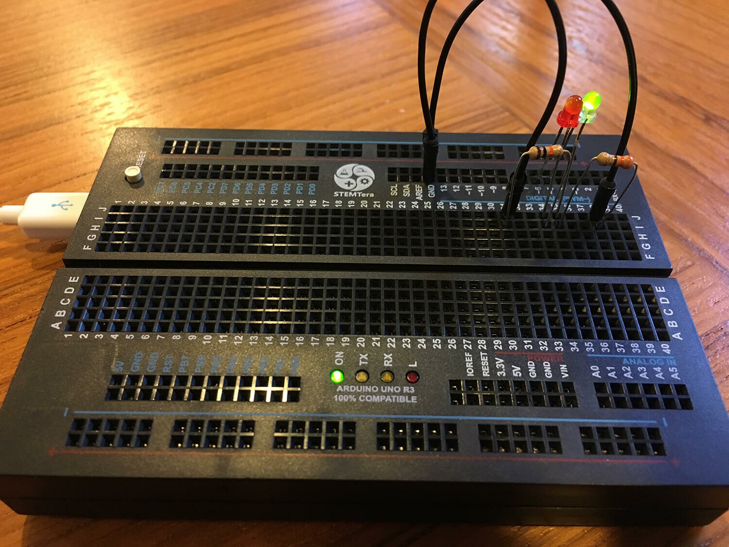 The StemTERA breadboard with some resistors and LEDs installed